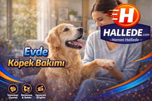 Evde Köpek Bakımı