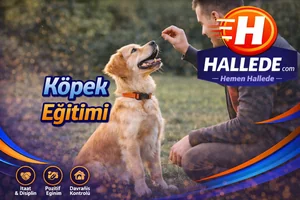 Köpek Eğitimi
