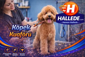 Köpek Kuaförü