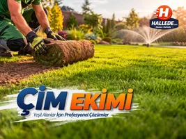 Çim Ekimi